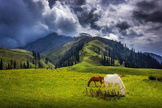 Naran Kaghan Valley Is An Amazing Adventure King Valley In Pakistan - MediaRay